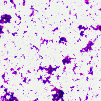 image-20241117124355-3